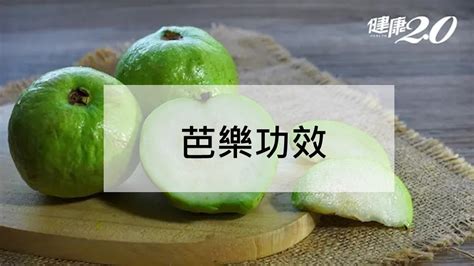 榕樹芭樂功效|榕樹芭樂：功效、營養價值、禁忌、正確食用方式